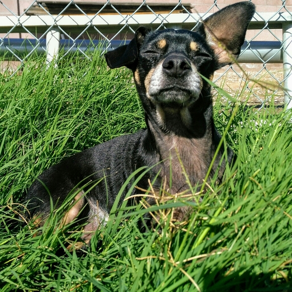 Meet your Posher, Judy - Picture 6 of 12